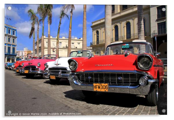 Timeless Beauties in Havana Acrylic by Simon Marlow