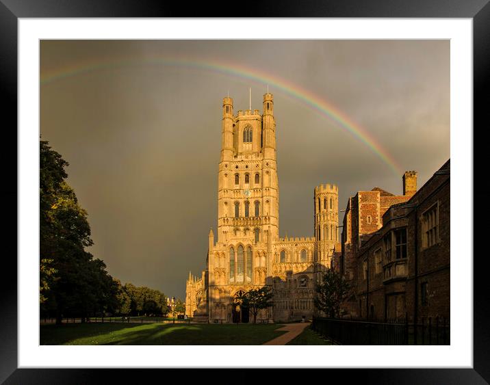 Ely Cathedral, Cambridgeshire Framed Mounted Print by Andrew Sharpe