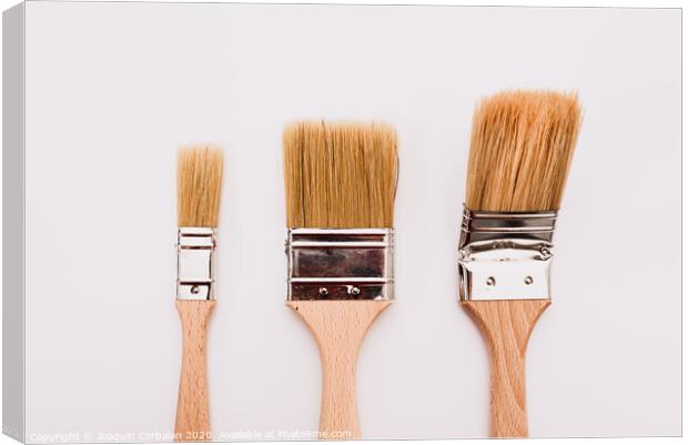 Three new painter brushes of various sizes isolated on white background. Canvas Print by Joaquin Corbalan