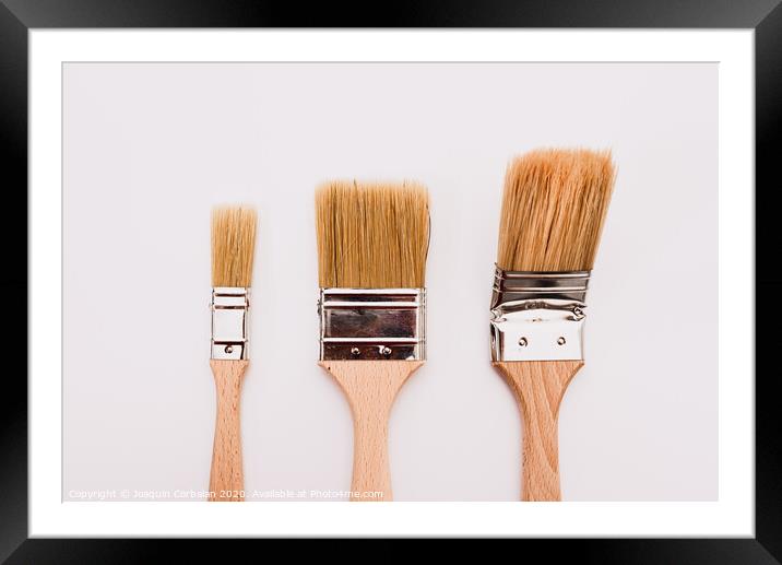 Three new painter brushes of various sizes isolated on white background. Framed Mounted Print by Joaquin Corbalan
