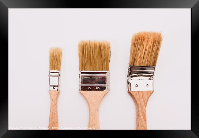 Three new painter brushes of various sizes isolated on white background. Framed Print by Joaquin Corbalan