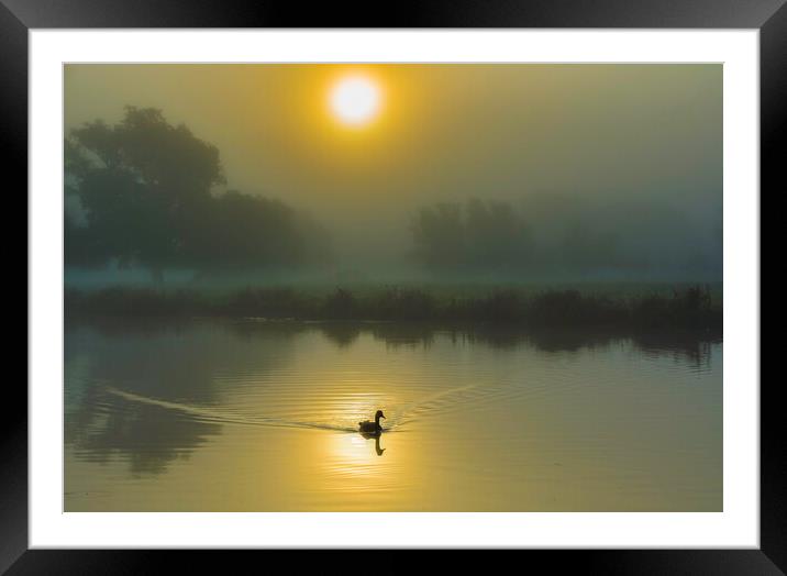 Misty fenland morning on the River Ouse, Ely, Cambridgeshire Framed Mounted Print by Andrew Sharpe