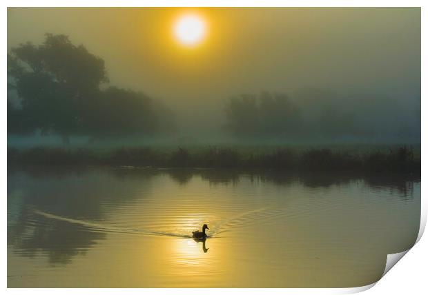 Misty fenland morning on the River Ouse, Ely, Cambridgeshire Print by Andrew Sharpe