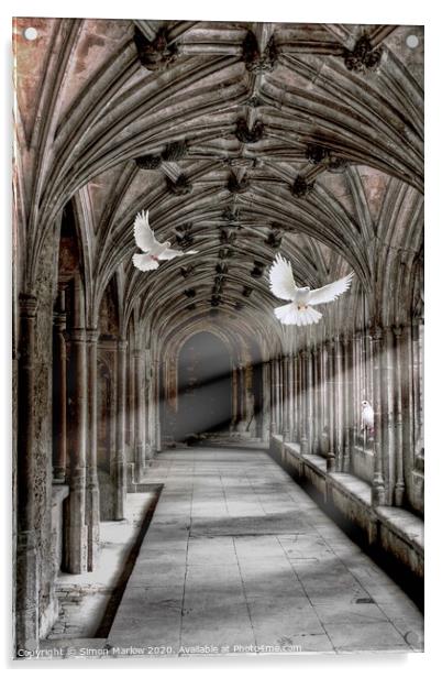 Heavenly Flight Acrylic by Simon Marlow