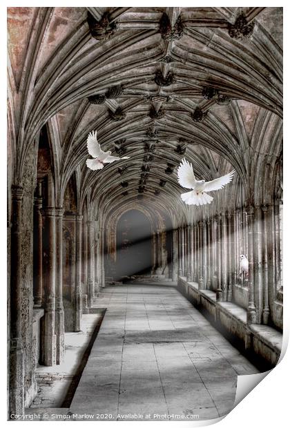 Heavenly Flight Print by Simon Marlow