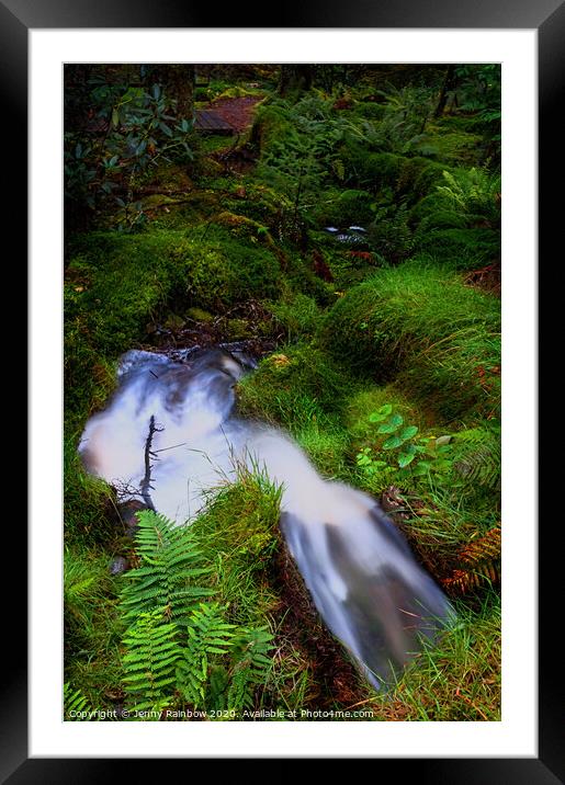 Forest Stream in Benmore Botanic Garden Framed Mounted Print by Jenny Rainbow