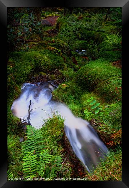 Forest Stream in Benmore Botanic Garden Framed Print by Jenny Rainbow