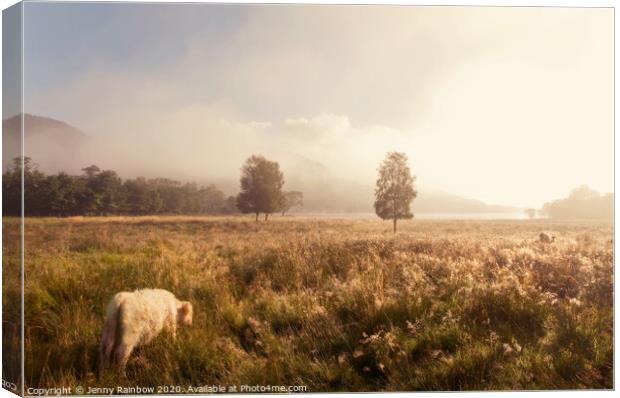 Dreamy Fields. The Trossachs, Scotland Canvas Print by Jenny Rainbow