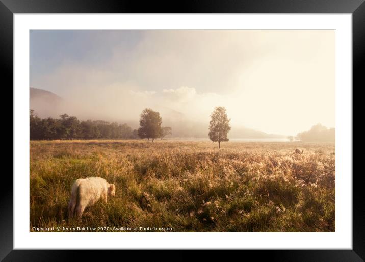 Dreamy Fields. The Trossachs, Scotland Framed Mounted Print by Jenny Rainbow