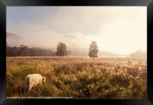 Dreamy Fields. The Trossachs, Scotland Framed Print by Jenny Rainbow