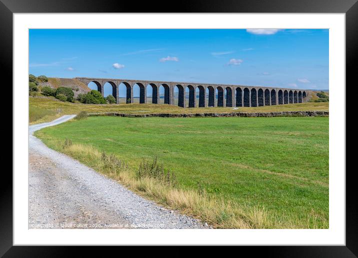 Ribblehead Viaduct, Yorkshire, England Framed Mounted Print by Dave Collins
