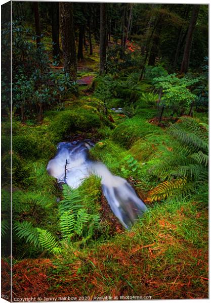 Tiny Waterstream in Benmore Botanic Garden Canvas Print by Jenny Rainbow