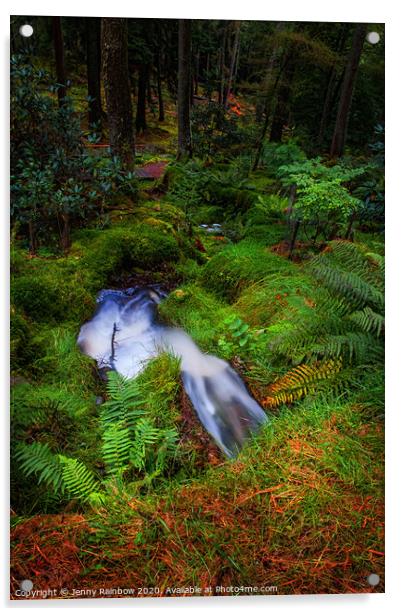 Tiny Waterstream in Benmore Botanic Garden Acrylic by Jenny Rainbow