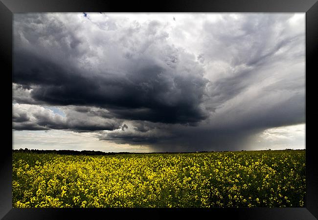 Storms over Rapeseed Framed Print by Paul Macro