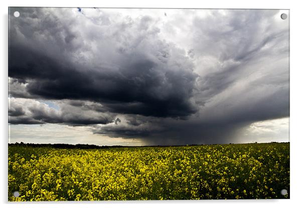 Storms over Rapeseed Acrylic by Paul Macro