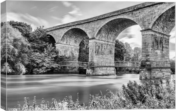 Roxburgh Viaduct over the Teviot River - Monochrom Canvas Print by Dave Collins