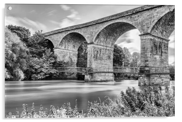 Roxburgh Viaduct over the Teviot River - Monochrom Acrylic by Dave Collins