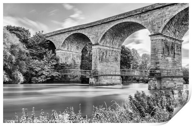 Roxburgh Viaduct over the Teviot River - Monochrom Print by Dave Collins