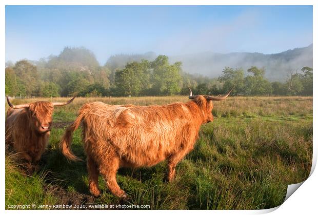 Rural Idyll. Trossachs National Park, Scotland Print by Jenny Rainbow