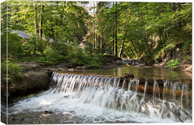 Сascading waterfall of a mountain stream in the Carpathians Canvas Print by Sergii Petruk