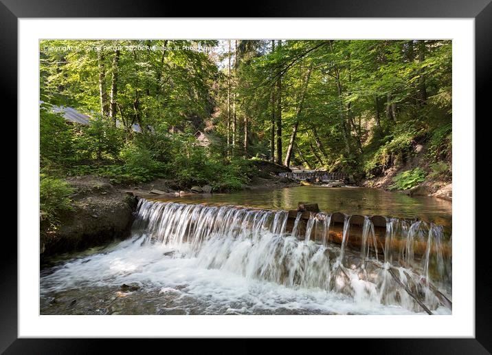 Сascading waterfall of a mountain stream in the Carpathians Framed Mounted Print by Sergii Petruk