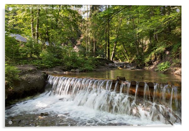 Сascading waterfall of a mountain stream in the Carpathians Acrylic by Sergii Petruk