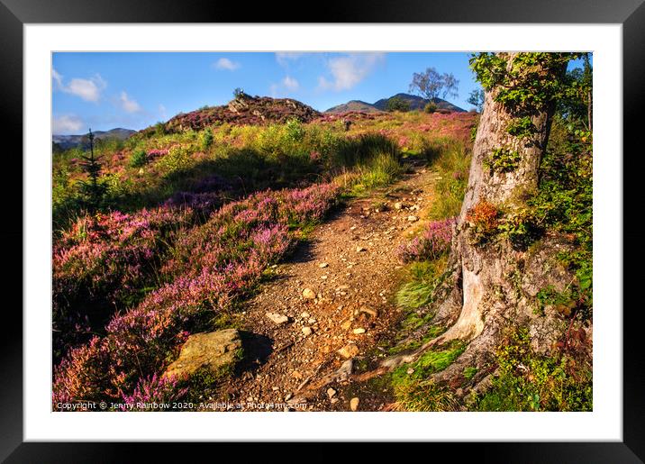 Way Up. Trossachs National Park Framed Mounted Print by Jenny Rainbow