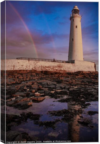 St Marys lighthouse rainbow Canvas Print by david siggens