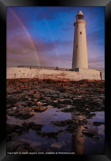 St Marys lighthouse rainbow Framed Print by david siggens