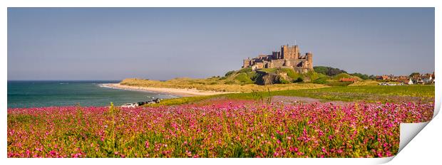 Panorama of Bamburgh Castle from the campion field Print by Naylor's Photography