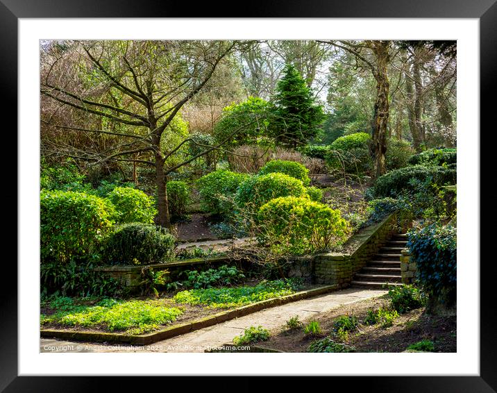 Gardens in Peasholm Park, Scarborough Framed Mounted Print by Angela Cottingham