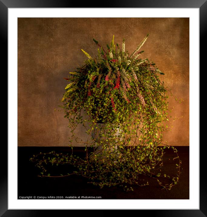 waterfall of flowers in a tall pot with heather and ivy Framed Mounted Print by Chris Willemsen