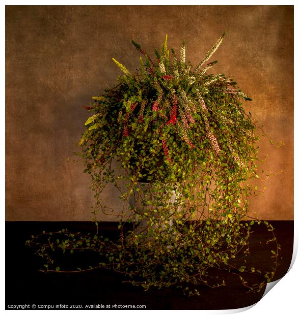 waterfall of flowers in a tall pot with heather and ivy Print by Chris Willemsen