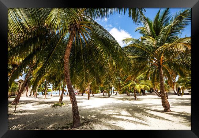 Palms. Palms. Palms. Maldivian Island Framed Print by Jenny Rainbow