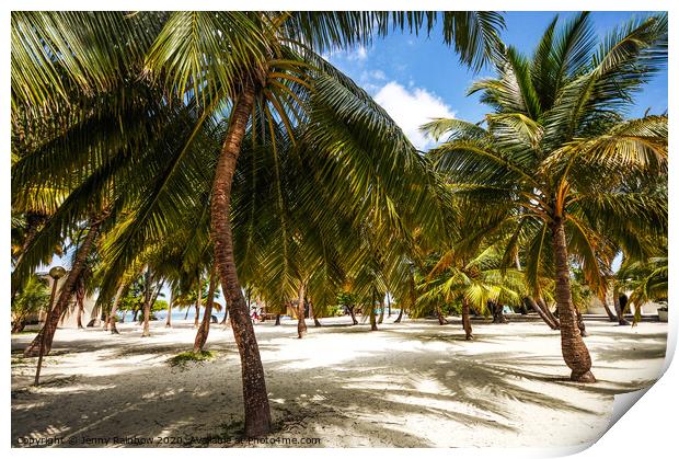 Palms. Palms. Palms. Maldivian Island Print by Jenny Rainbow
