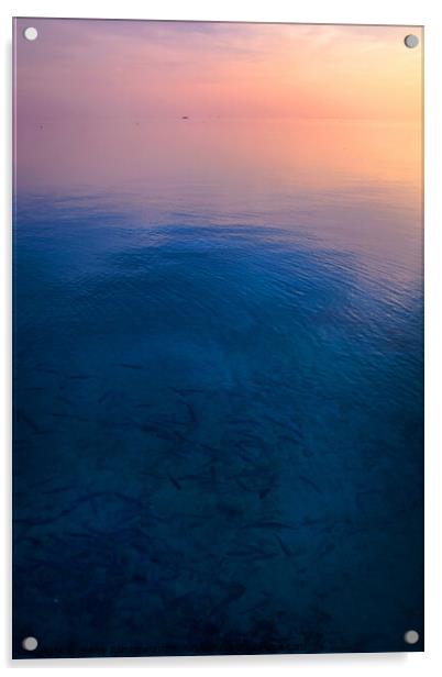 Peaceful Sunrise Acrylic by Jenny Rainbow