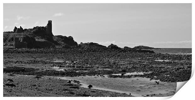 Dunure castle and harbour entrance Print by Allan Durward Photography