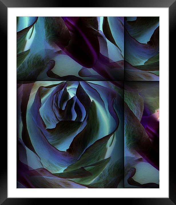 futuristic rose Framed Mounted Print by Heather Newton