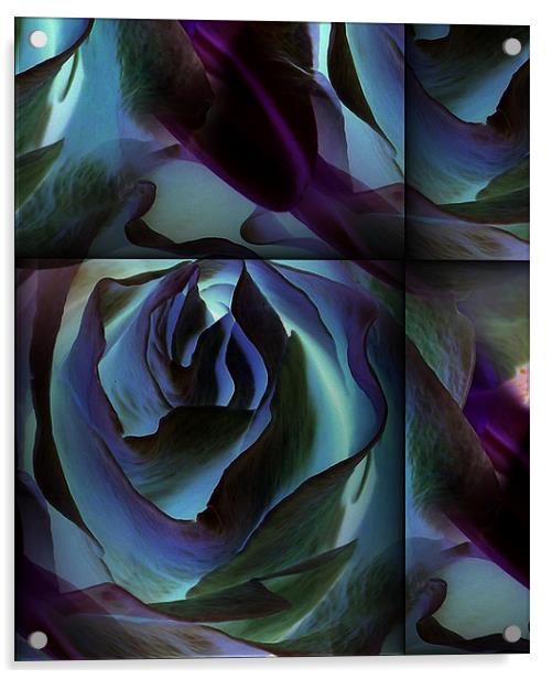 futuristic rose Acrylic by Heather Newton