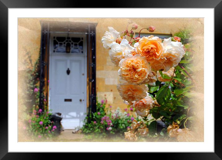 Blockley Village Cottage Cotswolds Gloucestershire Framed Mounted Print by Andy Evans Photos
