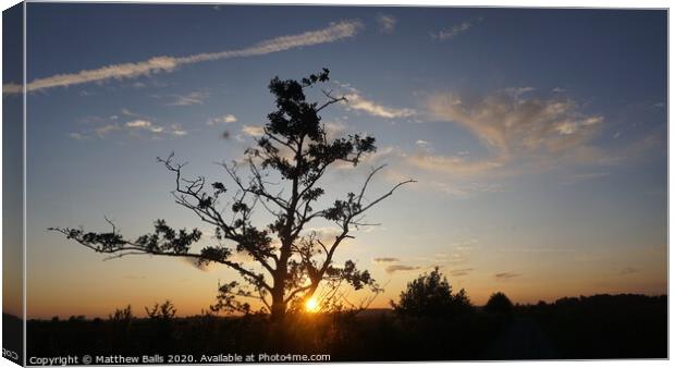 Tree Cloud Canvas Print by Matthew Balls