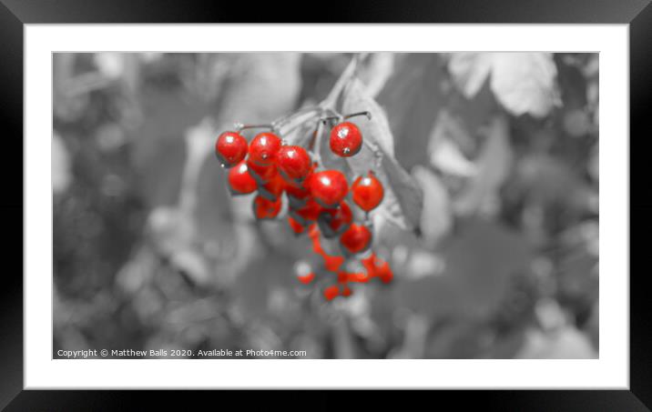 red black and white Framed Mounted Print by Matthew Balls