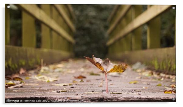 Autumn Bridge Acrylic by Matthew Balls