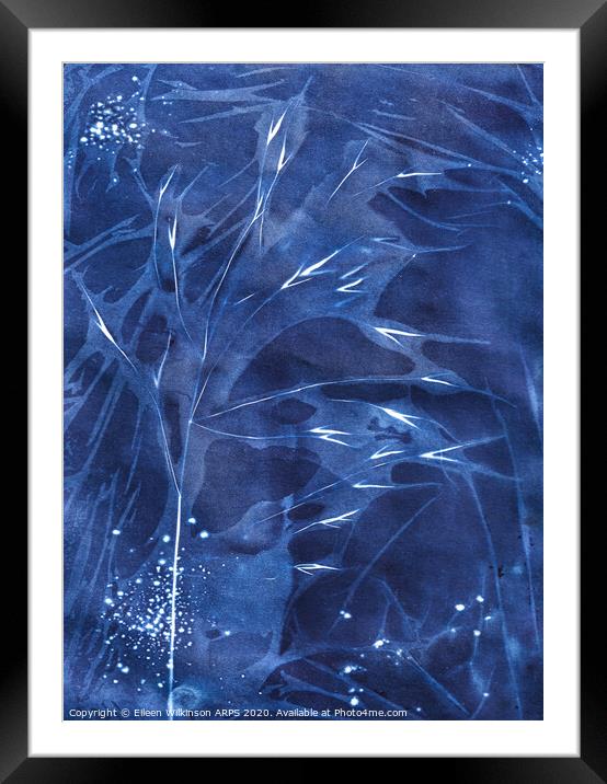 Midnight Blue  Framed Mounted Print by Eileen Wilkinson ARPS EFIAP