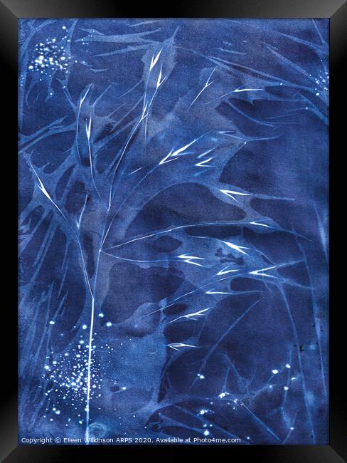 Midnight Blue  Framed Print by Eileen Wilkinson ARPS EFIAP