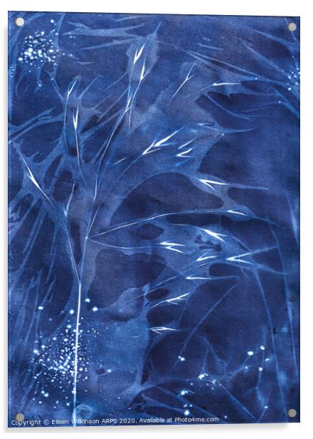 Midnight Blue  Acrylic by Eileen Wilkinson ARPS EFIAP