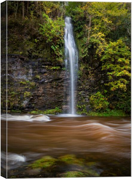 A waterfall on the river Tawe Canvas Print by Leighton Collins