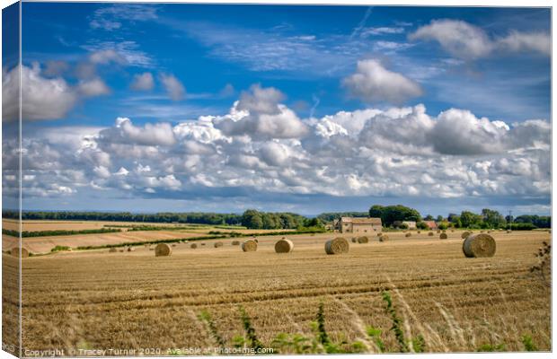 Harvest Time in The Cotswolds Canvas Print by Tracey Turner