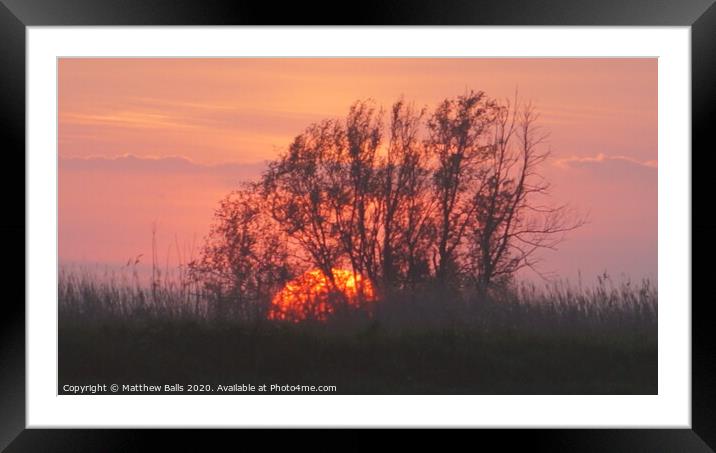 Sunset begind a tree Framed Mounted Print by Matthew Balls
