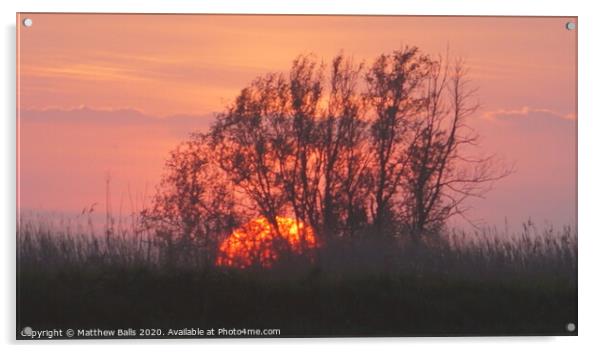 Sunset begind a tree Acrylic by Matthew Balls
